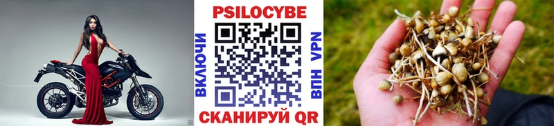 Псилоцибиновые грибы MAGIC MUSHROOMS Калининец